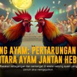 Rahasia Sabung Ayam S128: Jenis Ayam Aduan & Peluang Menang