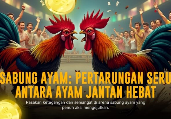 Rahasia Sabung Ayam S128: Jenis Ayam Aduan & Peluang Menang