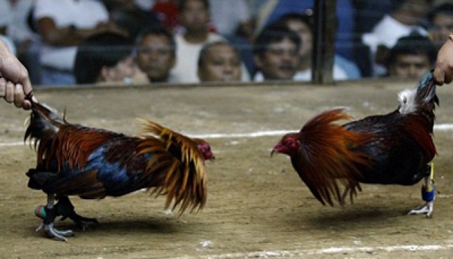 Kemenangan Mengejutkan
