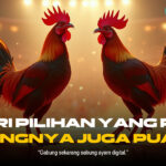 Mengenal Jenis Ayam Aduan Terbaik di SV388 Sabung Ayam