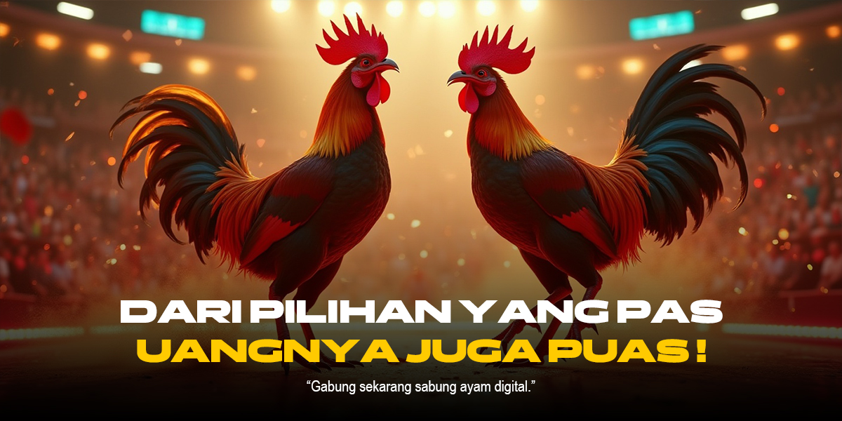 Mengenal Jenis Ayam Aduan Terbaik di SV388 Sabung Ayam