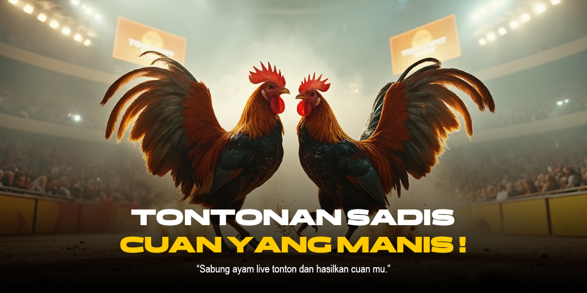 SV388: Dominasi Sabung Ayam Modern dengan Odds Terbaik