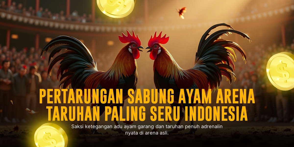 Membedah Kehebatan Ayam Bangkok dalam Sabung Ayam SV388