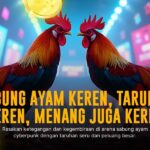Mengenal SV388: Platform Sabung Ayam Online Terpercaya