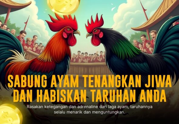 Memahami Jenis Ayam Bangkok dalam Sabung Ayam SV388