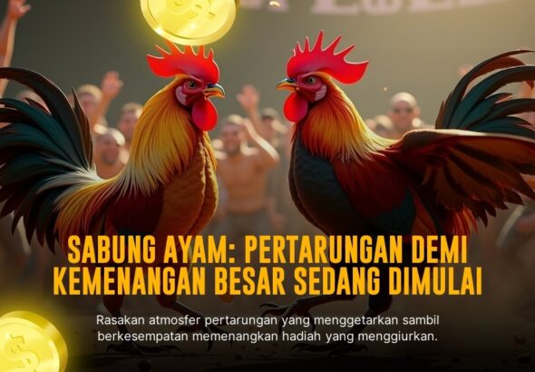 Mengenal Ayam Bangkok: Raja Sabung Ayam dengan Odds Terbaik di SV388
