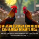 Mengenal Jenis Ayam Bangkok dalam Sabung Ayam SV388