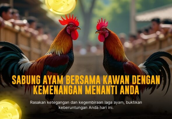 Mengenal Jenis Ayam Bangkok dalam Sabung Ayam SV388
