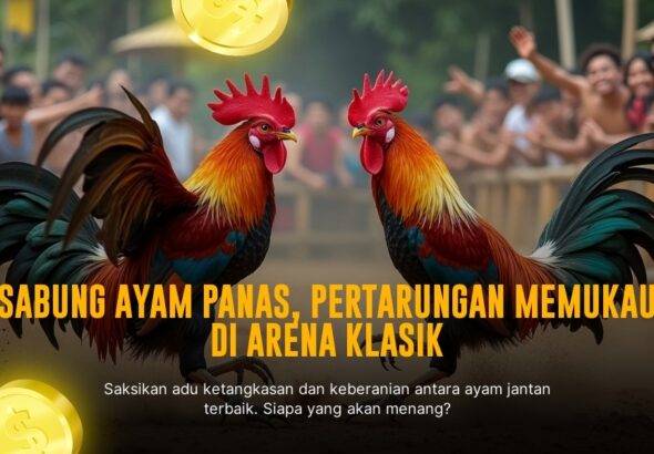 Ragam Jenis Ayam Petarung di Sabung Ayam Online SV388