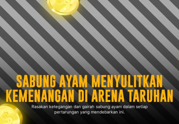 Mengenal Jenis Ayam Bangkok dan Taruhan Sabung Ayam SV388