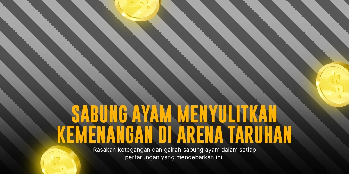 Mengenal Jenis Ayam Bangkok dan Taruhan Sabung Ayam SV388